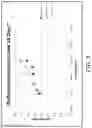 Fig. 06 - System and method for detecting biofilm growth in water systems