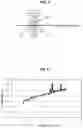 Fig. 04 - Electromagnetic signal analysis apparatus and electromagnetic signal analysis program