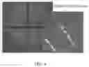 Fig. 04 - Single-crystal X-ray structure analysis apparatus and sample holder attaching device