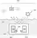 Fig. 01 - Biological imaging method using X-ray fluorescence