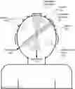 Fig. 01 - Focal Point Determination Based on Nonlinear Mixing of Sound Beams
