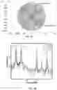 Fig. 04 - Focal Point Determination Based on Nonlinear Mixing of Sound Beams