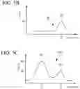 Fig. 06 - METHOD FOR CREATING DISCRIMINATOR