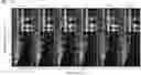 Fig. 01 - DETECTION METHOD FOR ORIGIN DETERMINATION BASED ON GAS CHROMATOGRAPHY-ION MOBILITY SPECTROMETRY (GC-IMS)