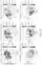 Fig. 19 - METHODS AND COMPOSITIONS FOR ANALYZING PLATELETS BY MASS CYTOMETRY