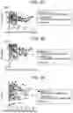 Fig. 13 - Method for acquiring information on respiratory infection