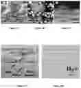 Fig. 09 - Piezoelectric Plate Sensor and Uses Thereof
