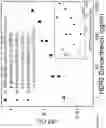 Fig. 23 - Piezoelectric Plate Sensor and Uses Thereof