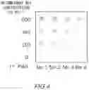 Fig. 05 - IMMUNOCHROMATOGRAPHY ANALYSIS DEVICE FOR DETECTING DENGUE VIRUS