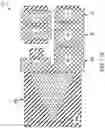 Fig. 06 - CALIBRATION OF SINGLE-MOLECULE DETECTION SYSTEM