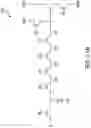 Fig. 09 - CALIBRATION OF SINGLE-MOLECULE DETECTION SYSTEM