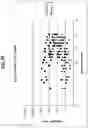 Fig. 11 - DYNAMIC OF SFLT-1 OR ENDOGLiN/PIGF RATIO AS AN INDICATOR FOR IMMINENT PREECLAMPSIA AND/OR HELLP SYNDROME