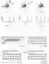 Fig. 08 - MICROARRAY COMPOSITIONS AND METHODS OF THEIR USE