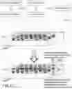 Fig. 10 - MICROARRAY COMPOSITIONS AND METHODS OF THEIR USE