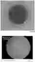 Fig. 18 - MICROARRAY COMPOSITIONS AND METHODS OF THEIR USE