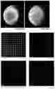Fig. 20 - MICROARRAY COMPOSITIONS AND METHODS OF THEIR USE