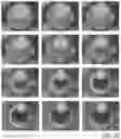Fig. 21 - MICROARRAY COMPOSITIONS AND METHODS OF THEIR USE