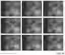Fig. 23 - MICROARRAY COMPOSITIONS AND METHODS OF THEIR USE