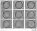 Fig. 28 - MICROARRAY COMPOSITIONS AND METHODS OF THEIR USE