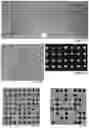 Fig. 32 - MICROARRAY COMPOSITIONS AND METHODS OF THEIR USE