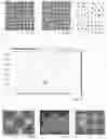 Fig. 33 - MICROARRAY COMPOSITIONS AND METHODS OF THEIR USE