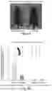 Fig. 10 - Methods and products for in vivo enzyme profiling