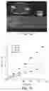 Fig. 11 - Methods and products for in vivo enzyme profiling