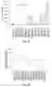 Fig. 14 - Methods and products for in vivo enzyme profiling