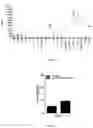 Fig. 04 - BIOMARKERS FOR DIAGNOSIS OF OCULAR DISEASES AND THE METHOD THEREOF