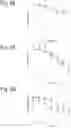 Fig. 14 - Method for the diagnosis and treatment of essential primary hypertension
