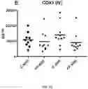 Fig. 06 - EXOSOME ASSAY FOR DEPRESSION AND PSYCHOSIS AND METHODS AND AGENTS FOR TREATING DEPRESSION, PSYCHOSIS AND SCHIZOPHRENIA