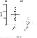 Fig. 14 - EXOSOME ASSAY FOR DEPRESSION AND PSYCHOSIS AND METHODS AND AGENTS FOR TREATING DEPRESSION, PSYCHOSIS AND SCHIZOPHRENIA