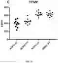 Fig. 17 - EXOSOME ASSAY FOR DEPRESSION AND PSYCHOSIS AND METHODS AND AGENTS FOR TREATING DEPRESSION, PSYCHOSIS AND SCHIZOPHRENIA