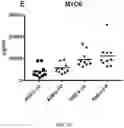 Fig. 19 - EXOSOME ASSAY FOR DEPRESSION AND PSYCHOSIS AND METHODS AND AGENTS FOR TREATING DEPRESSION, PSYCHOSIS AND SCHIZOPHRENIA