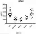 Fig. 24 - EXOSOME ASSAY FOR DEPRESSION AND PSYCHOSIS AND METHODS AND AGENTS FOR TREATING DEPRESSION, PSYCHOSIS AND SCHIZOPHRENIA