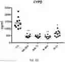 Fig. 25 - EXOSOME ASSAY FOR DEPRESSION AND PSYCHOSIS AND METHODS AND AGENTS FOR TREATING DEPRESSION, PSYCHOSIS AND SCHIZOPHRENIA