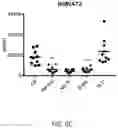 Fig. 31 - EXOSOME ASSAY FOR DEPRESSION AND PSYCHOSIS AND METHODS AND AGENTS FOR TREATING DEPRESSION, PSYCHOSIS AND SCHIZOPHRENIA