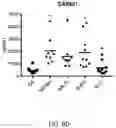 Fig. 32 - EXOSOME ASSAY FOR DEPRESSION AND PSYCHOSIS AND METHODS AND AGENTS FOR TREATING DEPRESSION, PSYCHOSIS AND SCHIZOPHRENIA