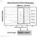 Fig. 02 - Method and kit for discriminating between parkinson's disease and multiple system atrophy