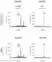 Fig. 07 - Method of quantifying lysergic acid diethylamide (LSD) and 2,3-dihydro-3-hydroxy-2-oxo lysergide (O-H-LSD) in human plasma