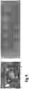 Fig. 10 - Systems and Methods for Controlled Dispensing of Temperature-Sensitive Fluids in Liquid Handling and Dispensing Systems