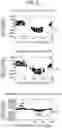 Fig. 06 - PARTIAL DISCHARGE DETERMINATION APPARATUS AND PARTIAL DISCHARGE DETERMINATION METHOD