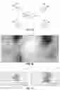 Fig. 02 - False positive immunity in beacon systems, and related systems, methods, and devices