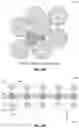 Fig. 16 - False positive immunity in beacon systems, and related systems, methods, and devices