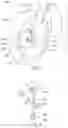 Fig. 02 - Dummy Apparatus with Movable Radar Reflecting Elements for Testing Driver Assistance Systems