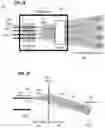 Fig. 09 - Autonomous vehicle LIDAR system using a waveguide array