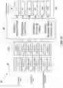 Fig. 09 - Radioactivity detector and radioactivity detection method optimizable for sample geometry