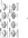 Fig. 08 - High-aspect ratio metalens