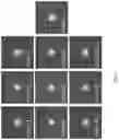 Fig. 11 - High-aspect ratio metalens