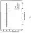 Fig. 13 - High-aspect ratio metalens